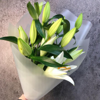 Bouquet of Lilies